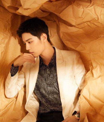 肖战爆料张雨绮视频,真相背后引热议